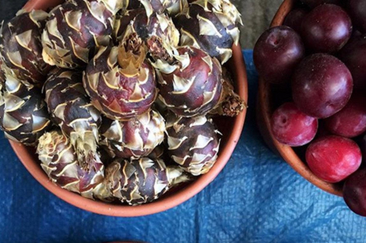 La fruta silvestre que seguramente no conocías Posting México